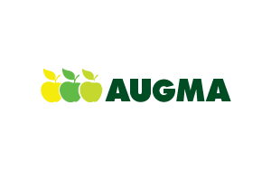 Augma